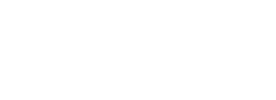 Enriched Mobile Electronics and Van Conversions